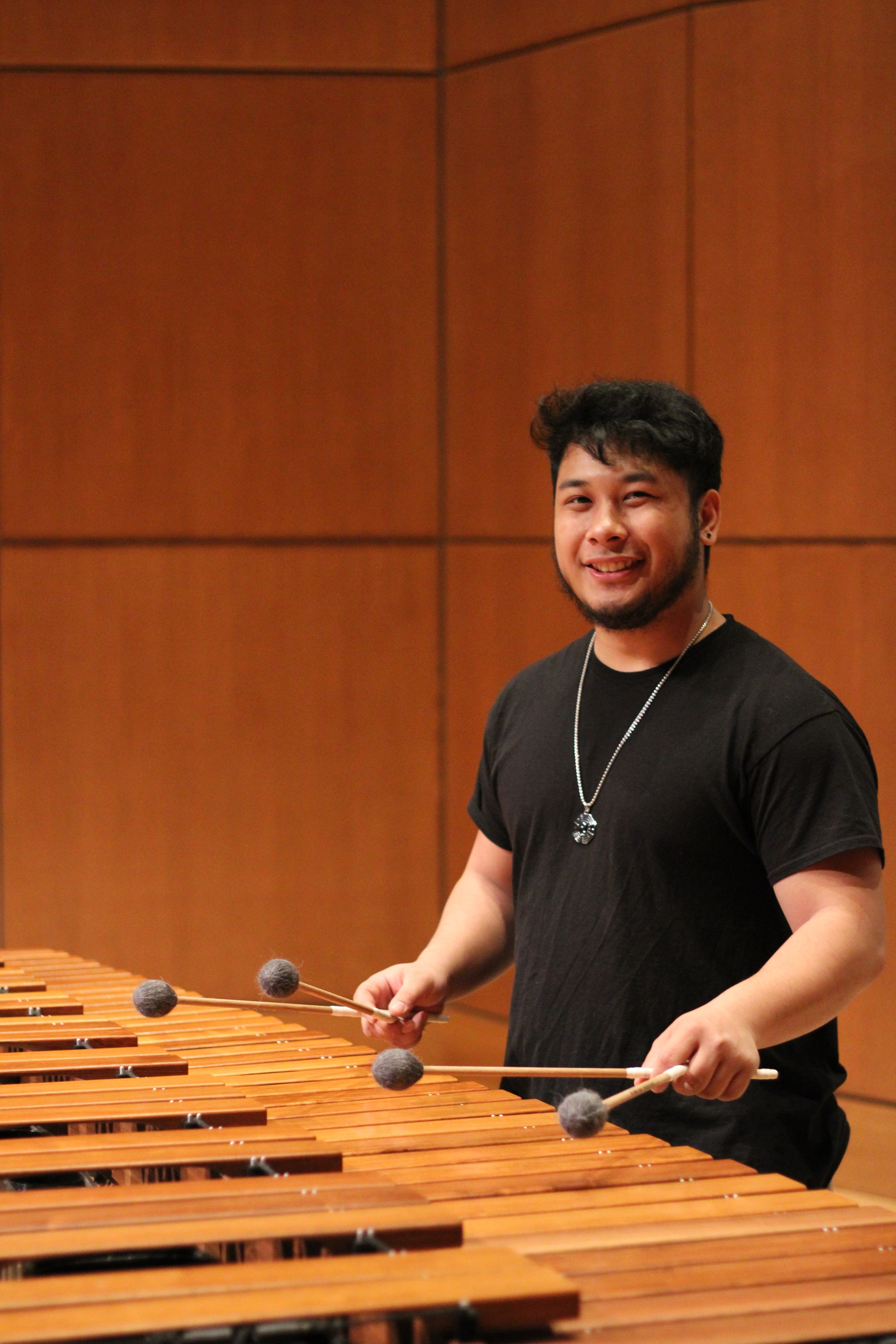 Allan Jr. Perpose, Musicianship Teaching Artist